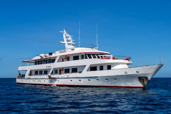 Boutique Yacht