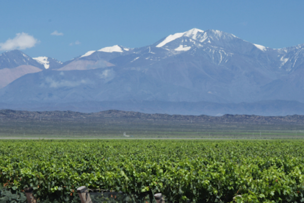 Mendoza Wine Route
