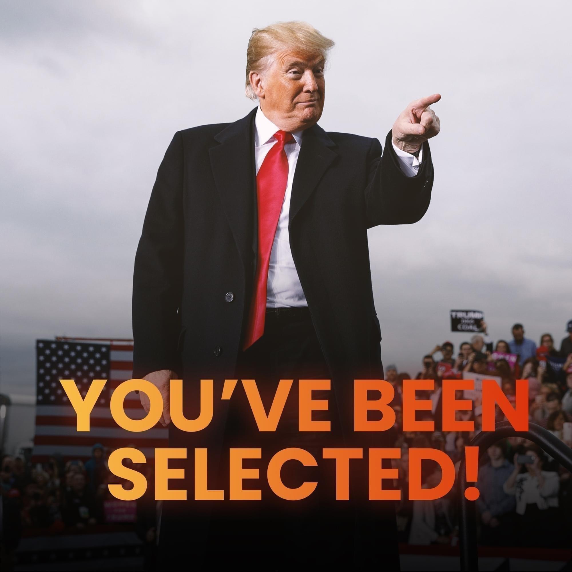 you have been selected