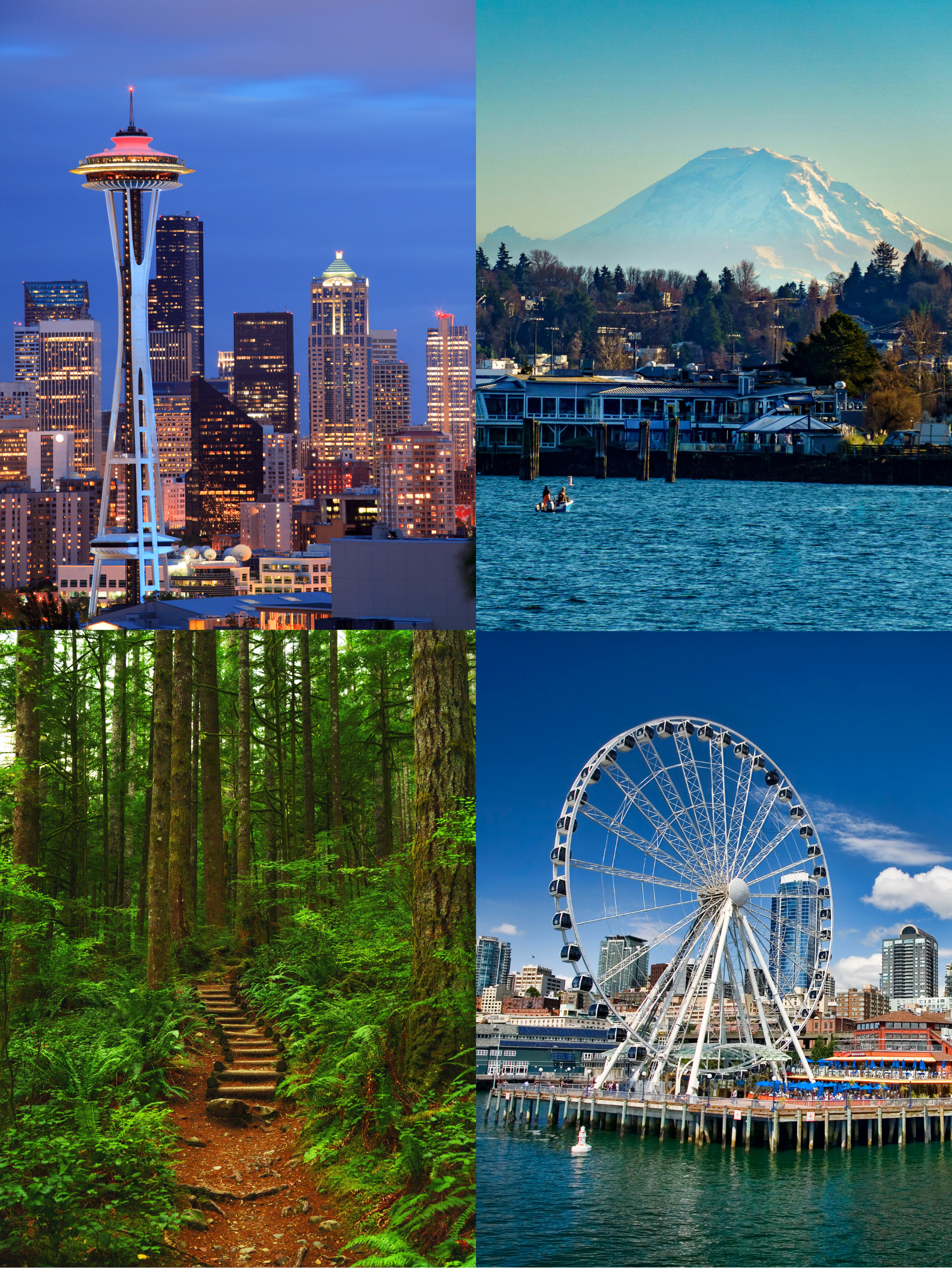 Popcorn ceiling removal specialists preparing a Minneapolis ceiling for refinishing and painting