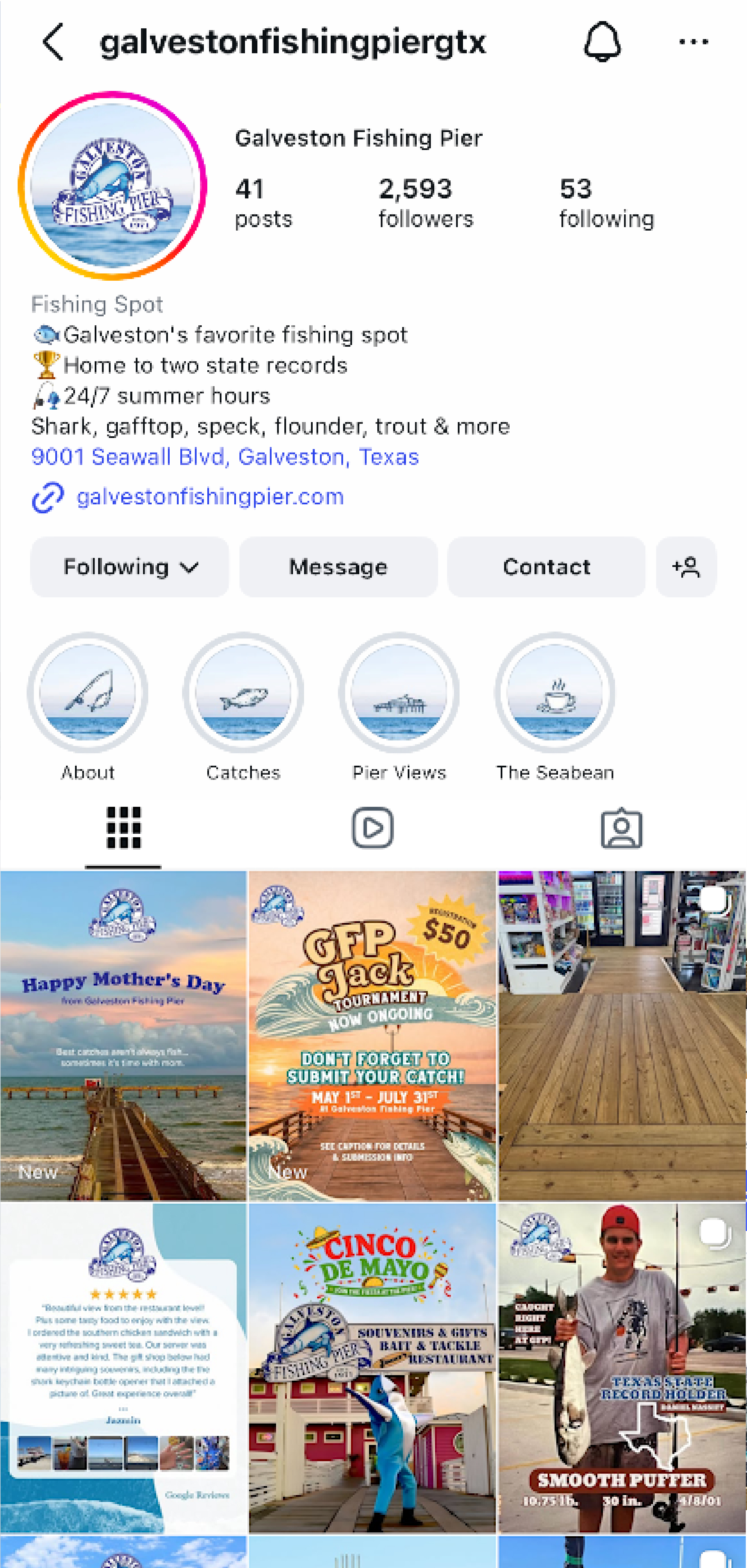 Content & Execution Systems mobile mockup