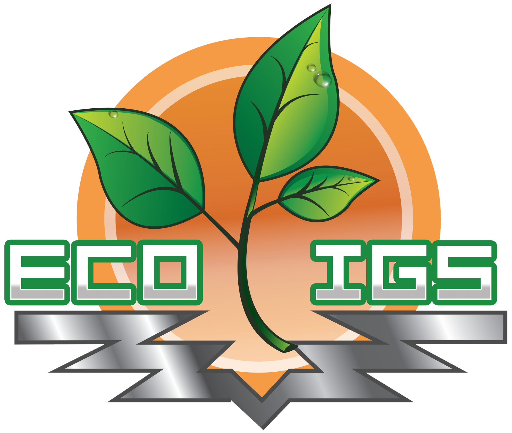 Eco IGS
