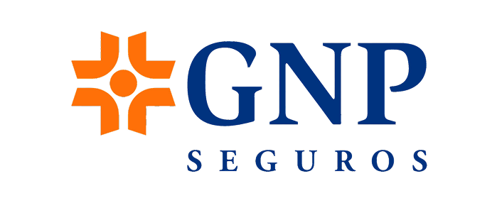 GNP