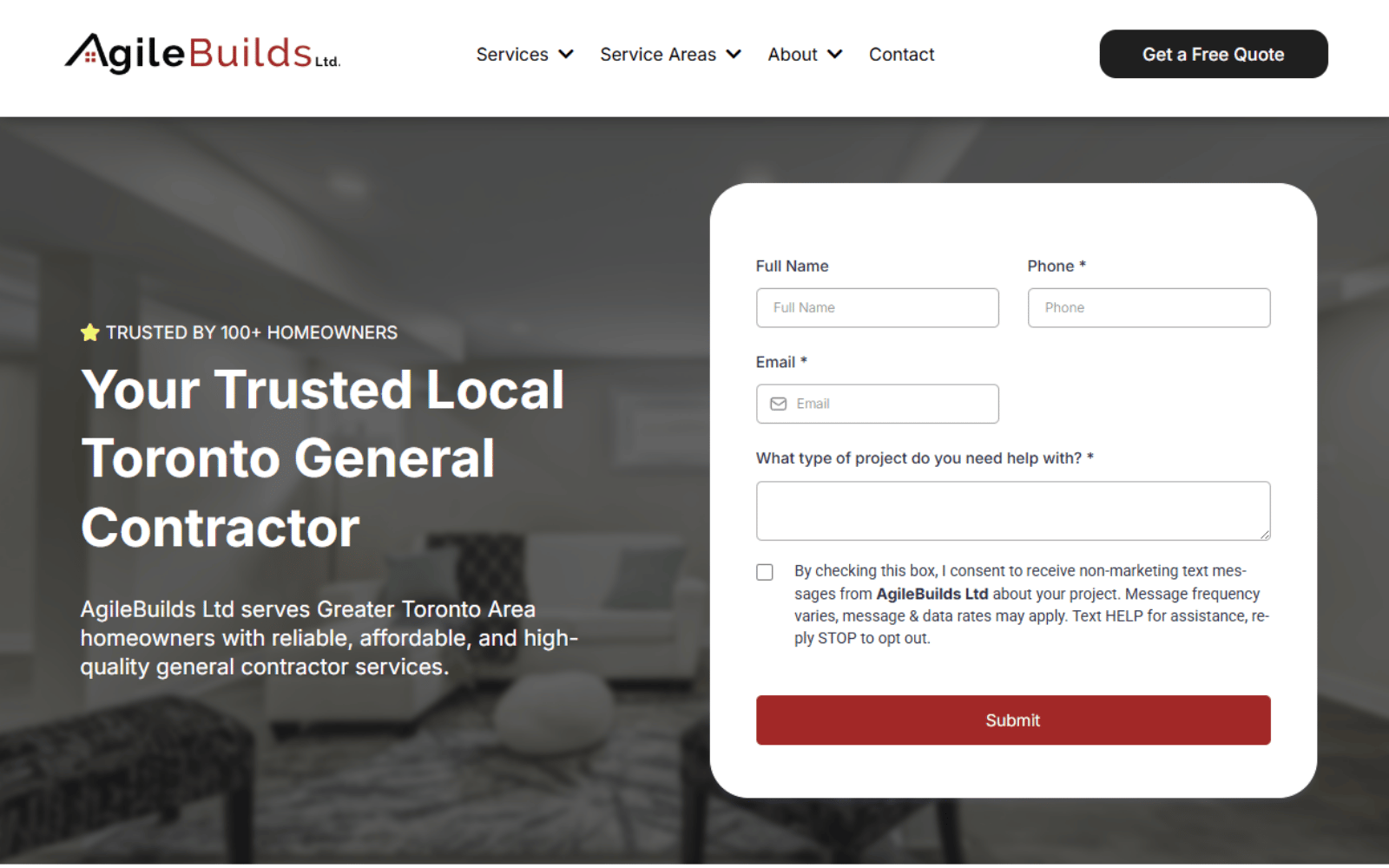 AgileBuilds Ltd website preview