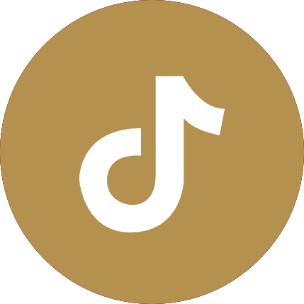 TikTok icon