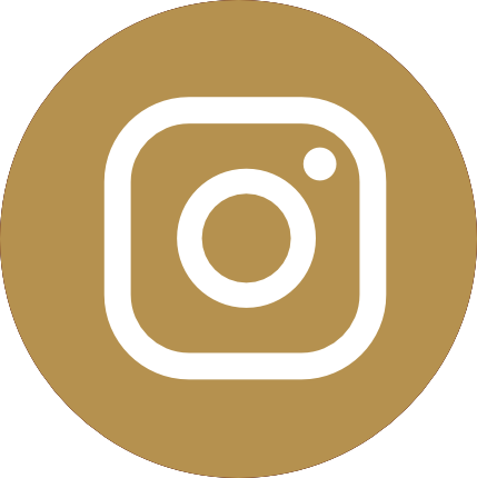 Instagram Icon