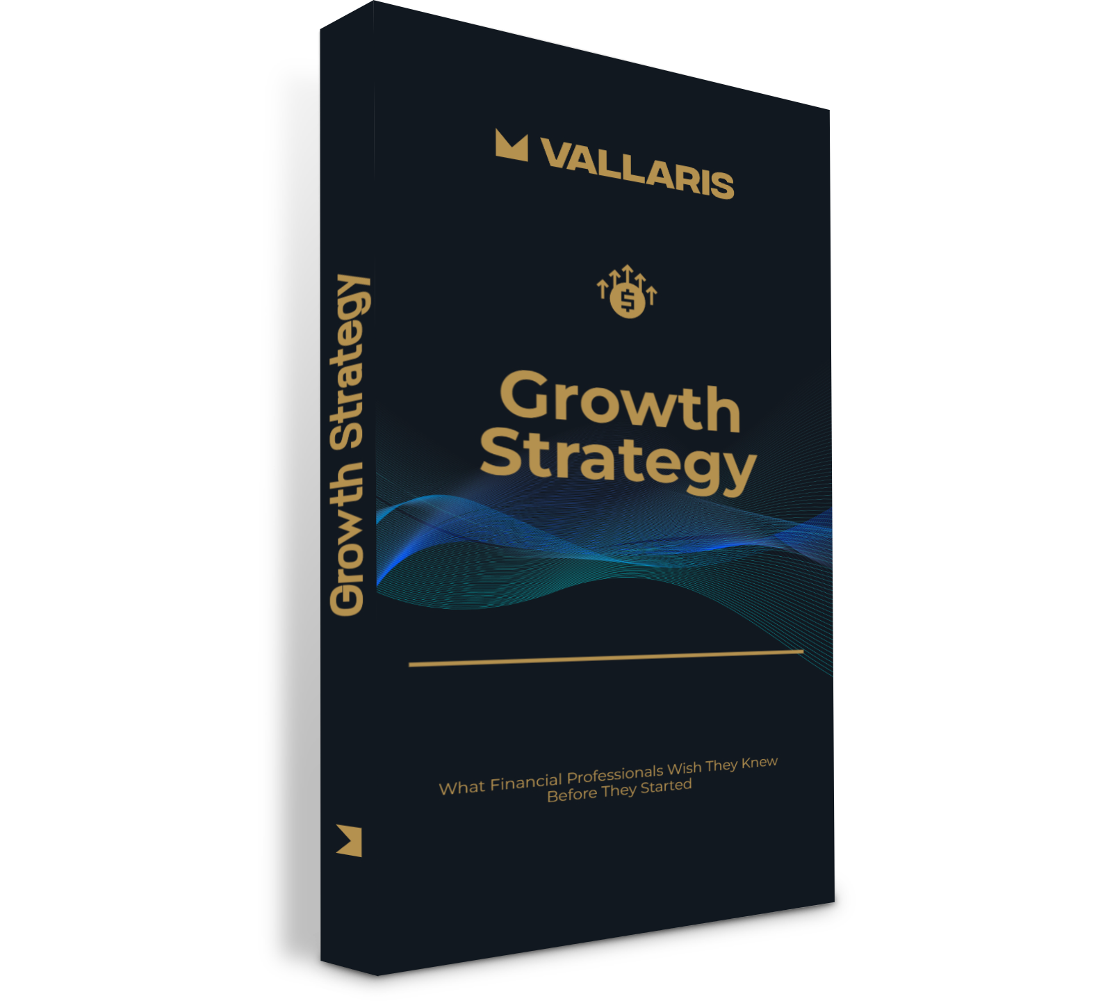 Growth Strategy Guide