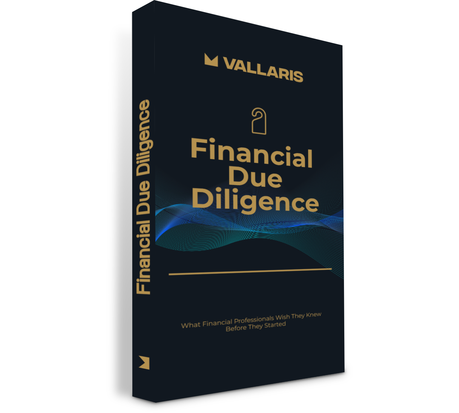 Financial Due Diligence Guide