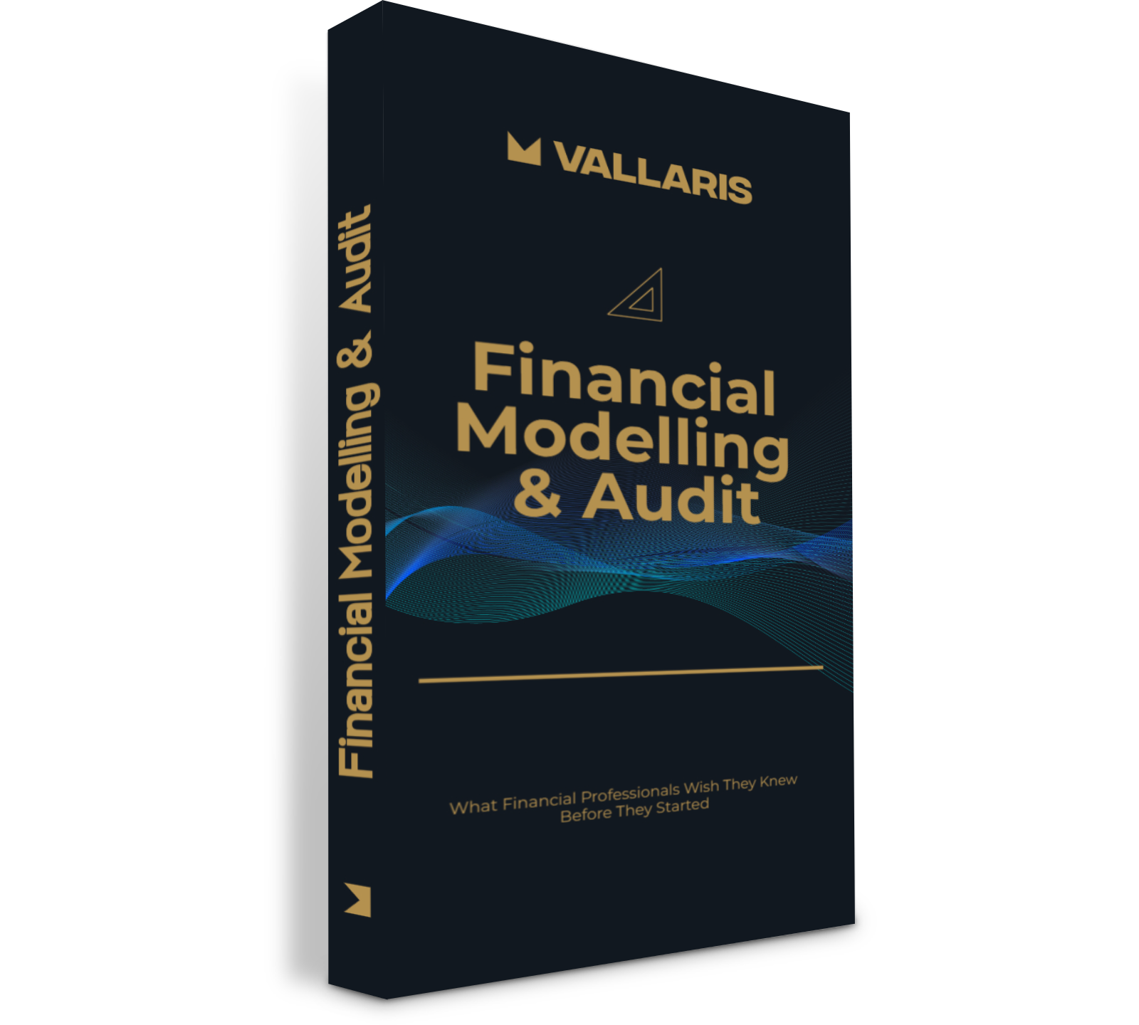 Financial Modelling & Audit Guide