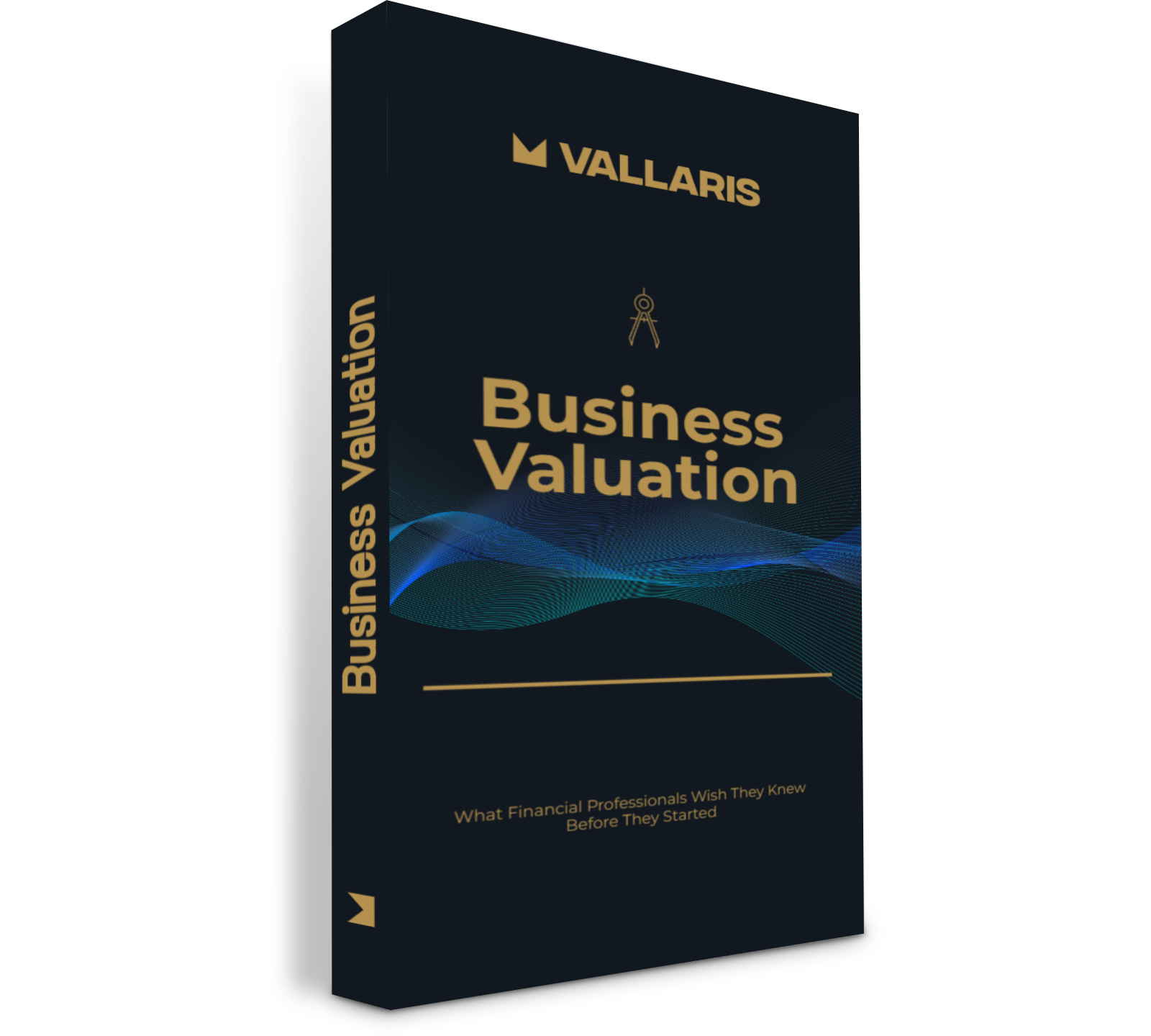 Business Valuation Guide