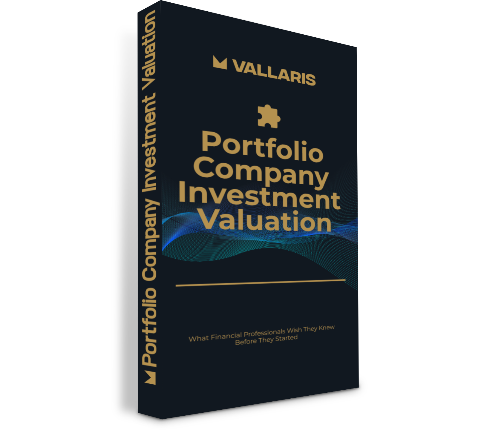 Portfolio Company Investment Valuation Guide