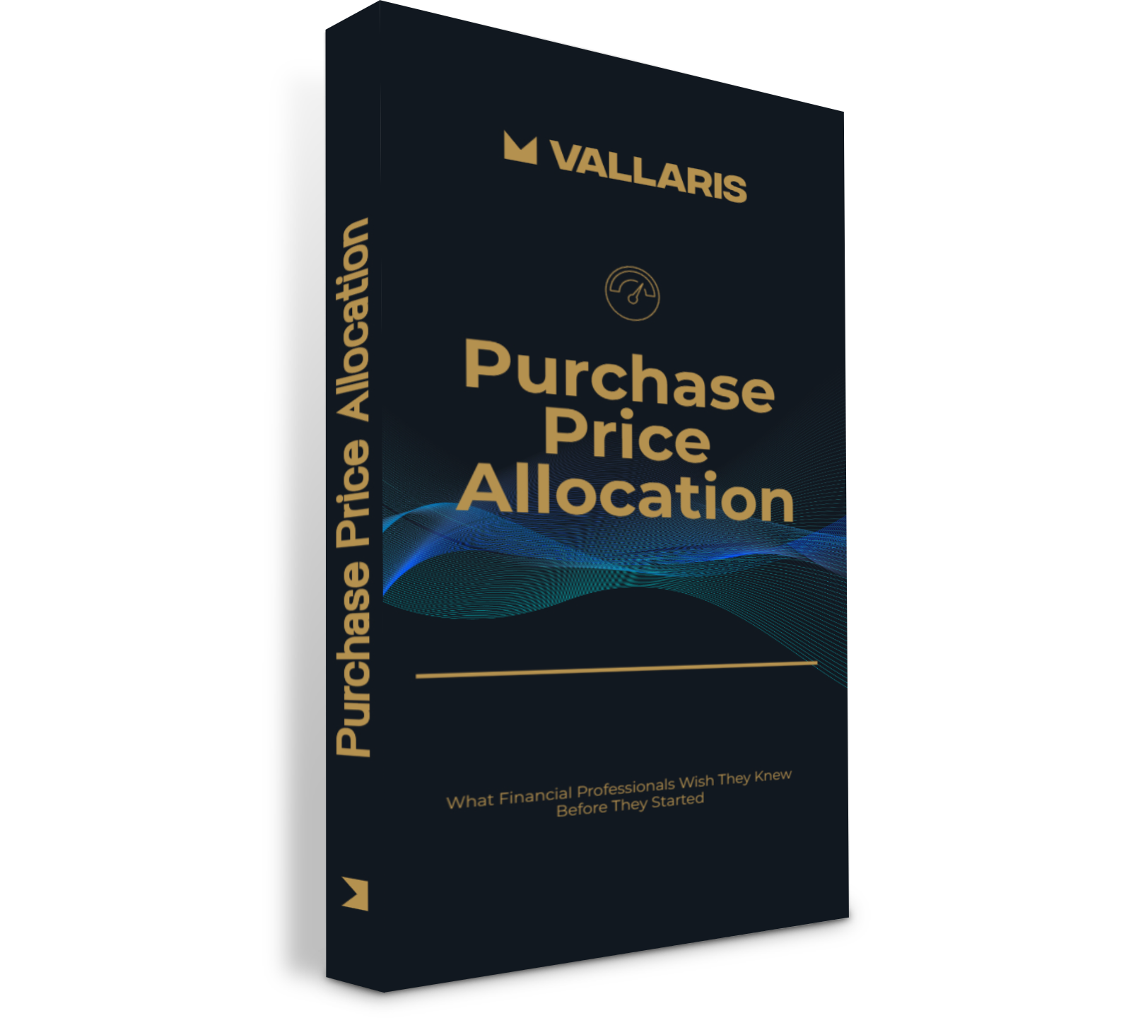 Purchase Price Allocation Guide