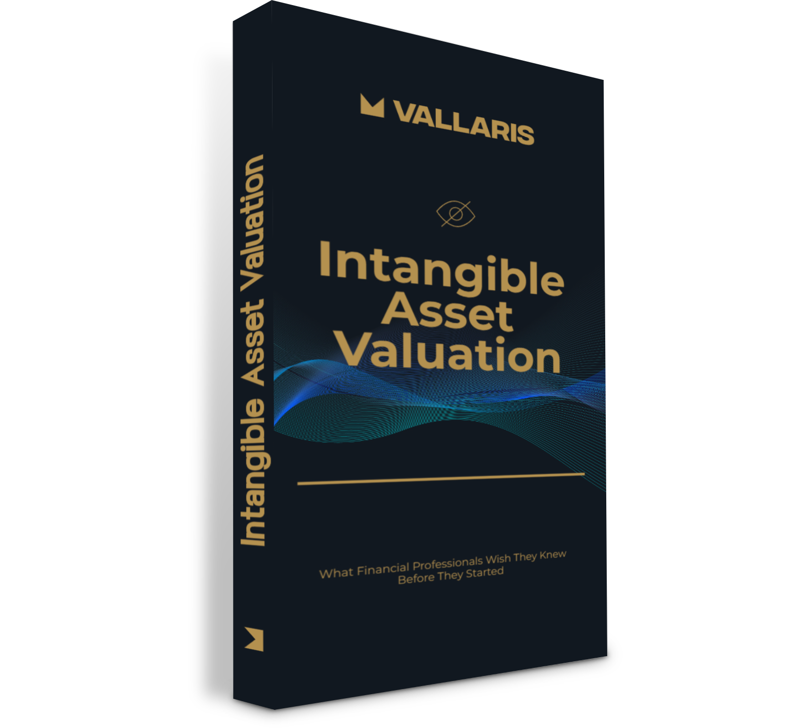 Intangible Asset Valuation Guide