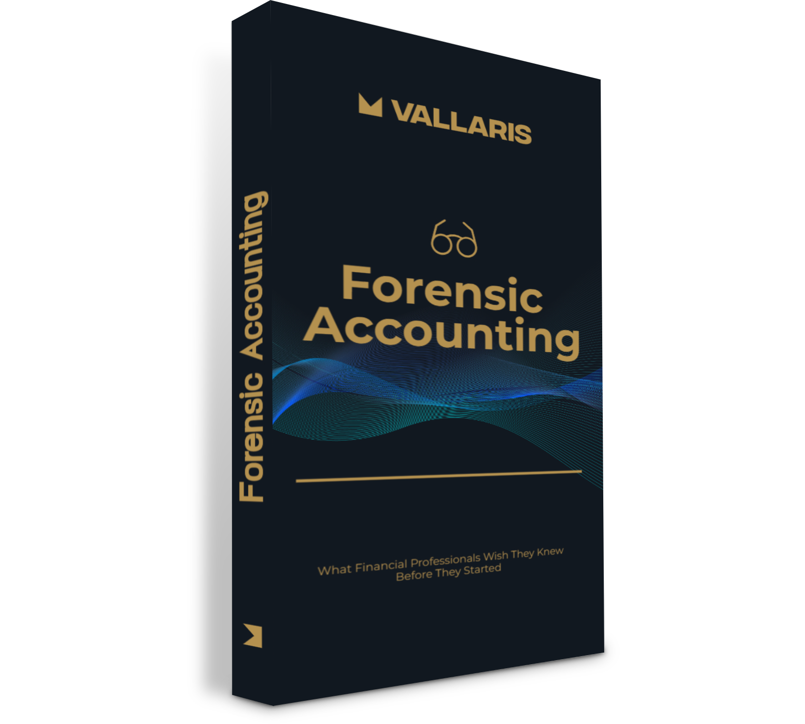 Forensic Accounting Guide