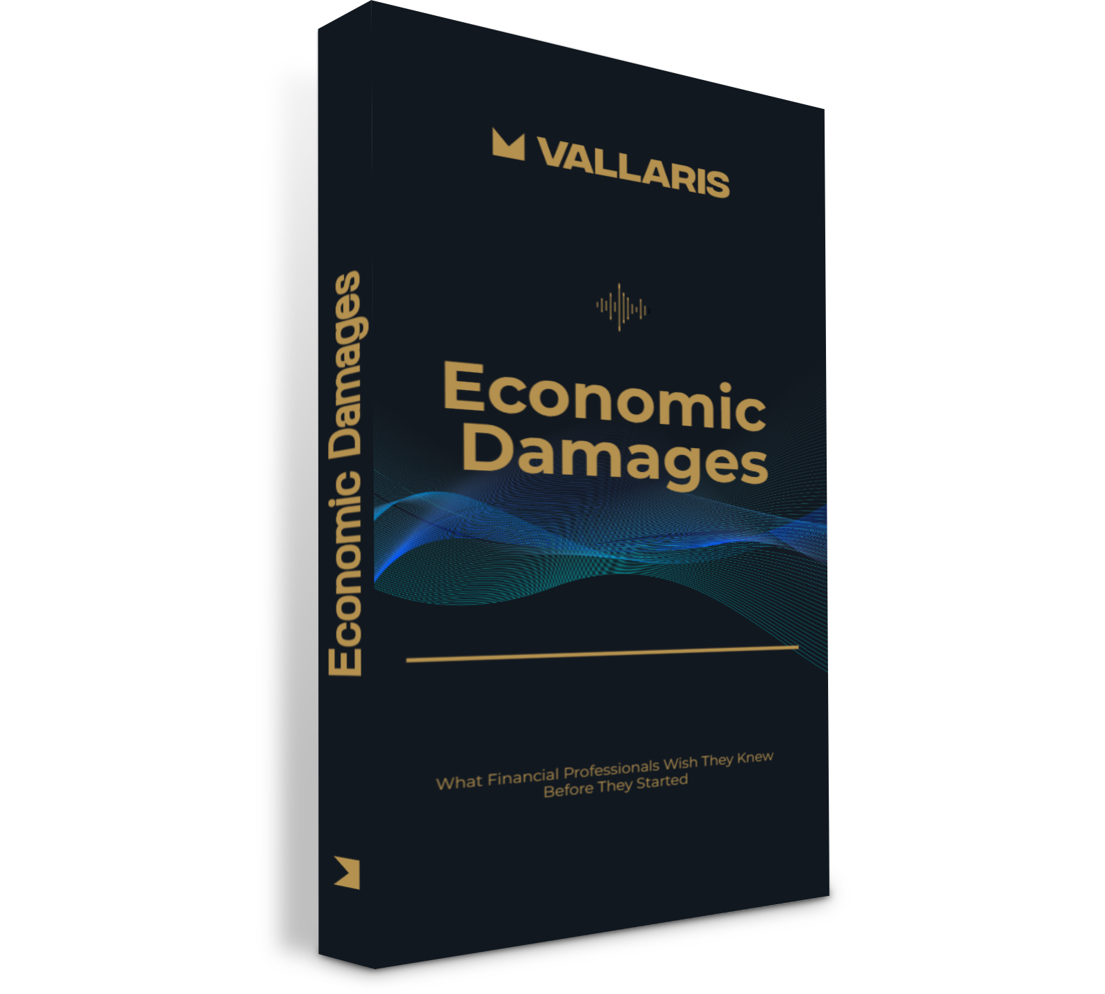 Economic Damages Guide