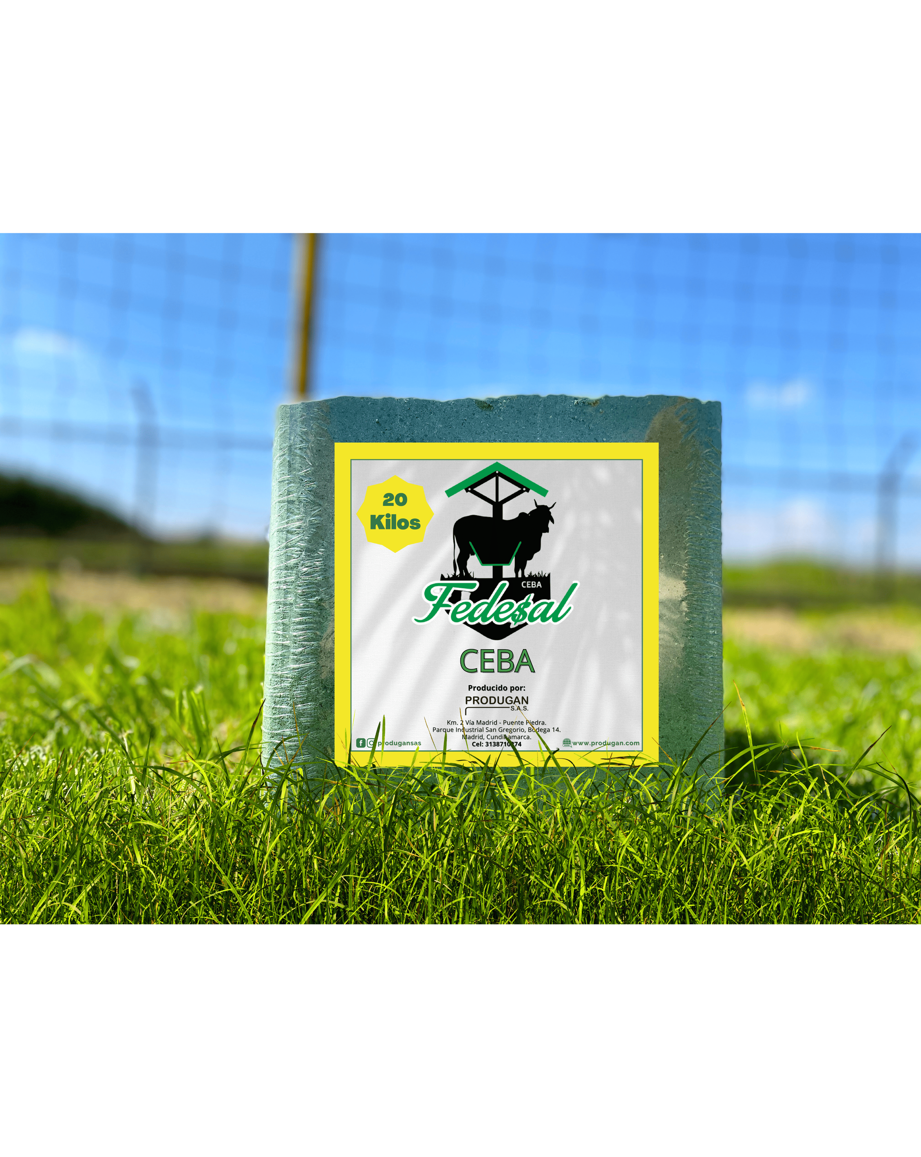 Fedesal Bloque Ceba