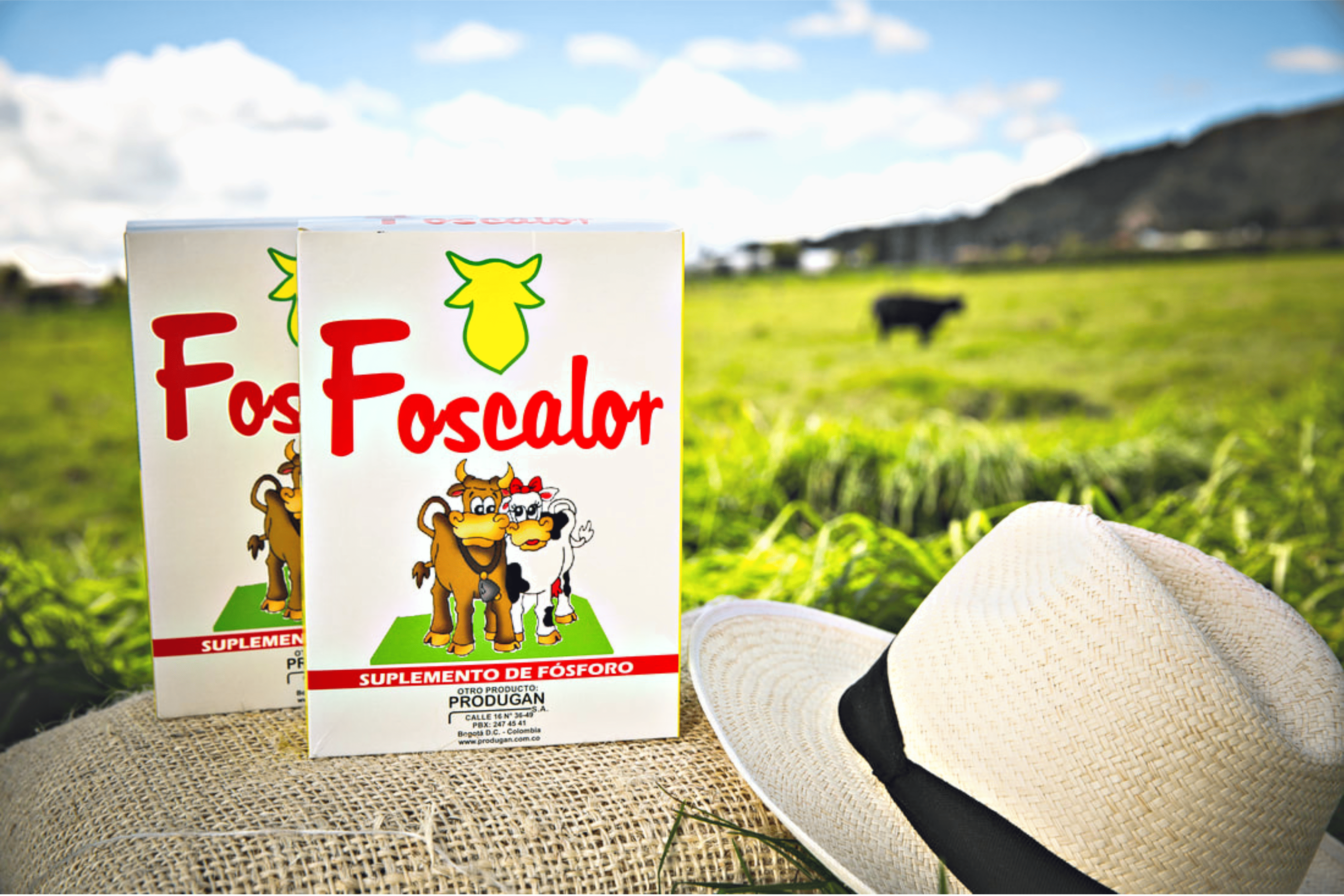 Foscalor