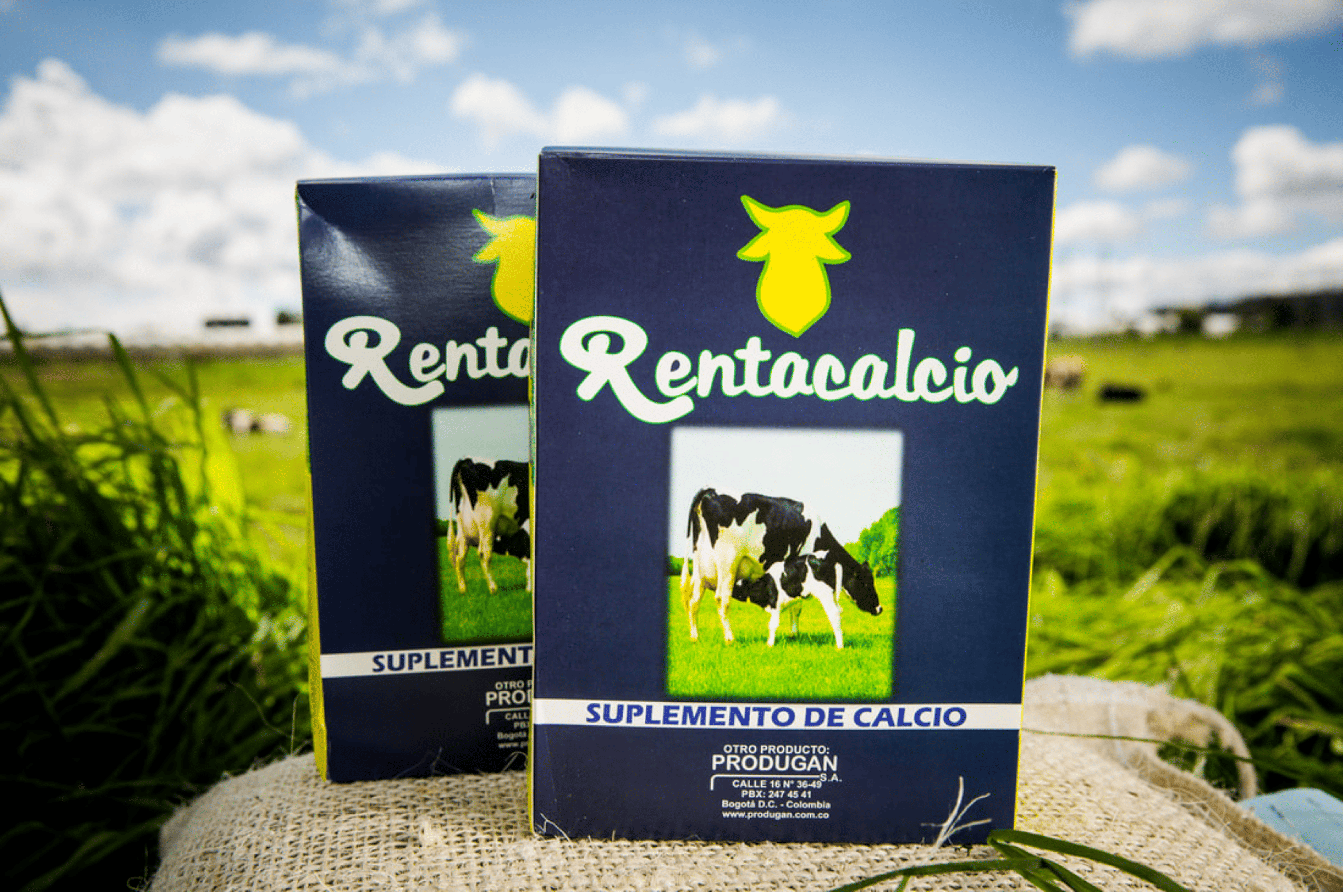 Rentacalcio