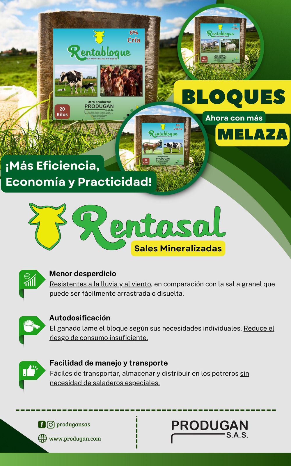 bloque de sal