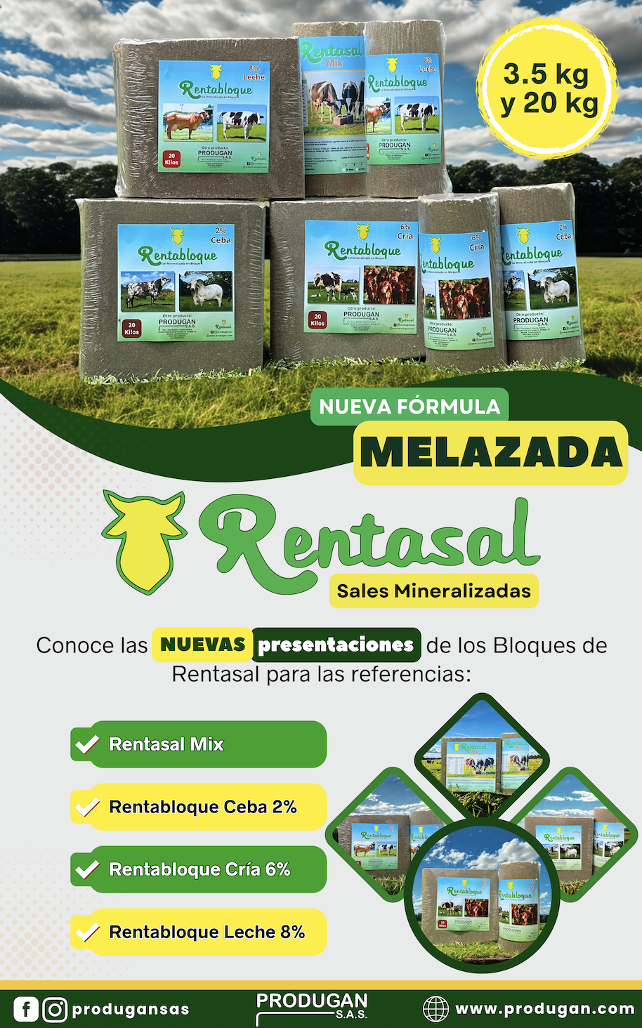 sales mineralizadas produgan sas