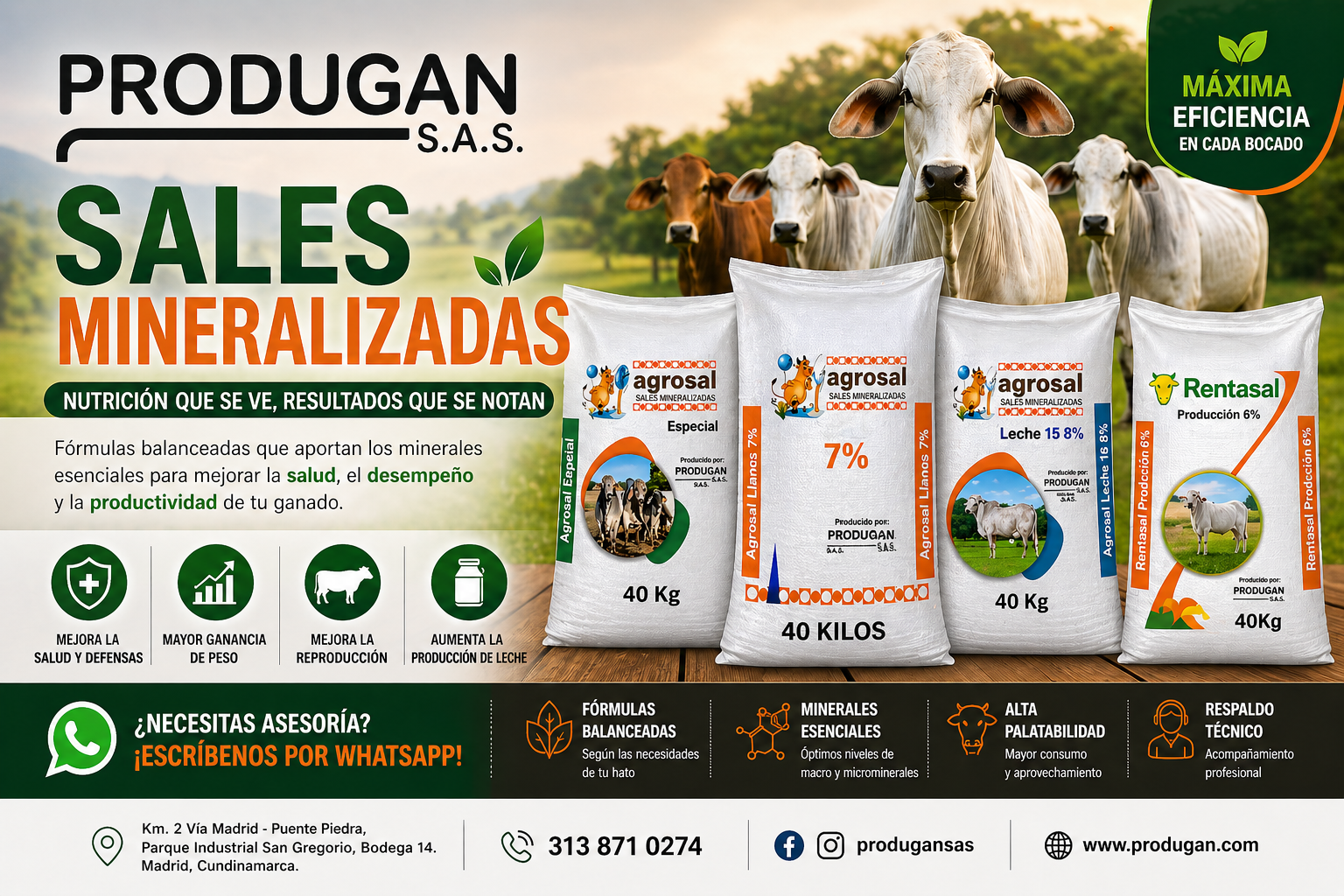 sales mineralizadas para ganado
