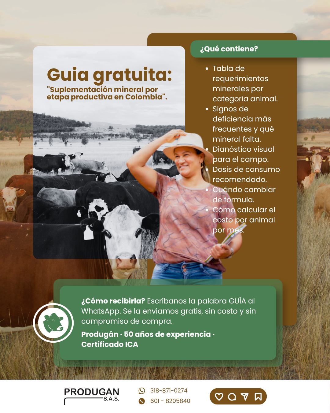 asesoria especializada