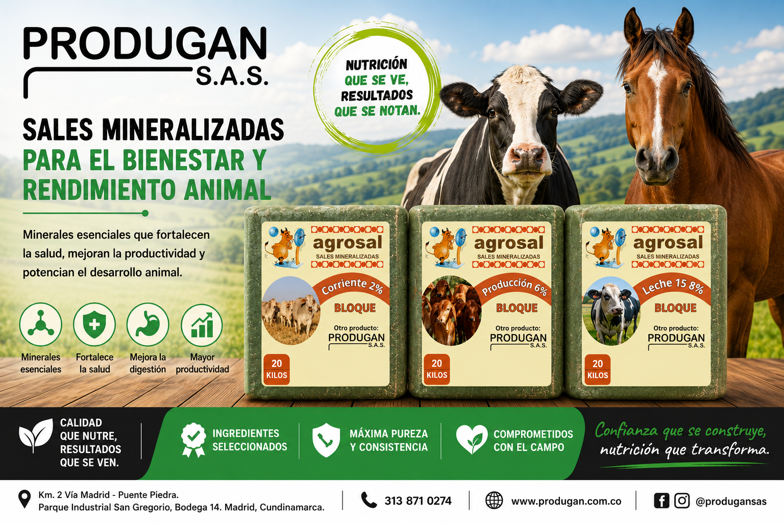 nutricion para ganado nutricion para ganado