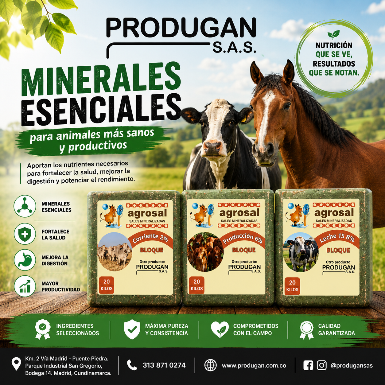 publicidad