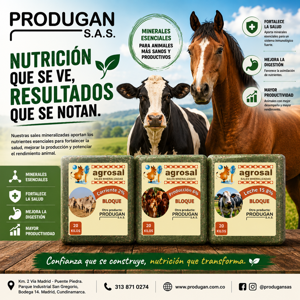 Sal para ganado Sal para ganado