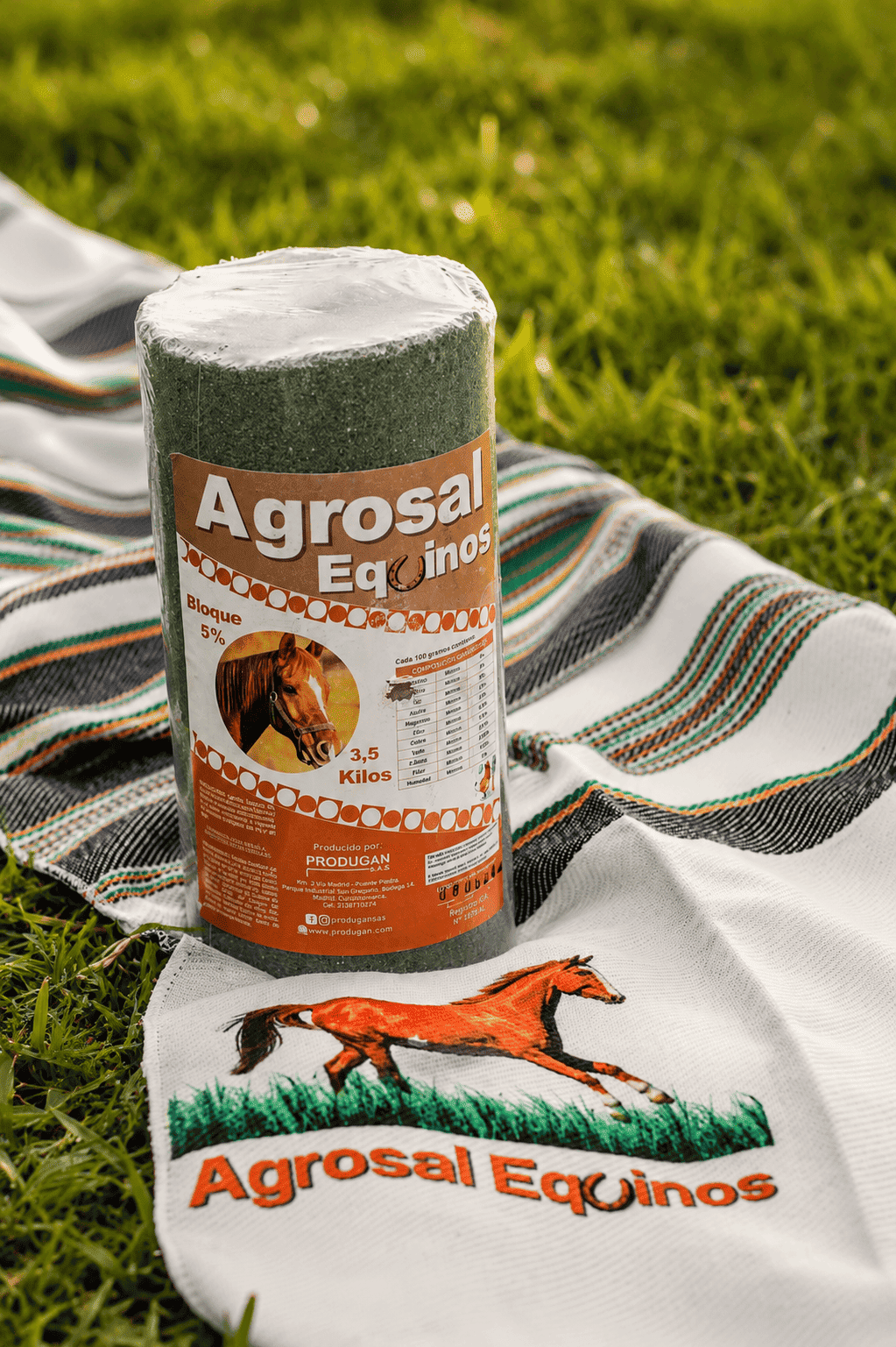 Agrosal Bloque Equinos