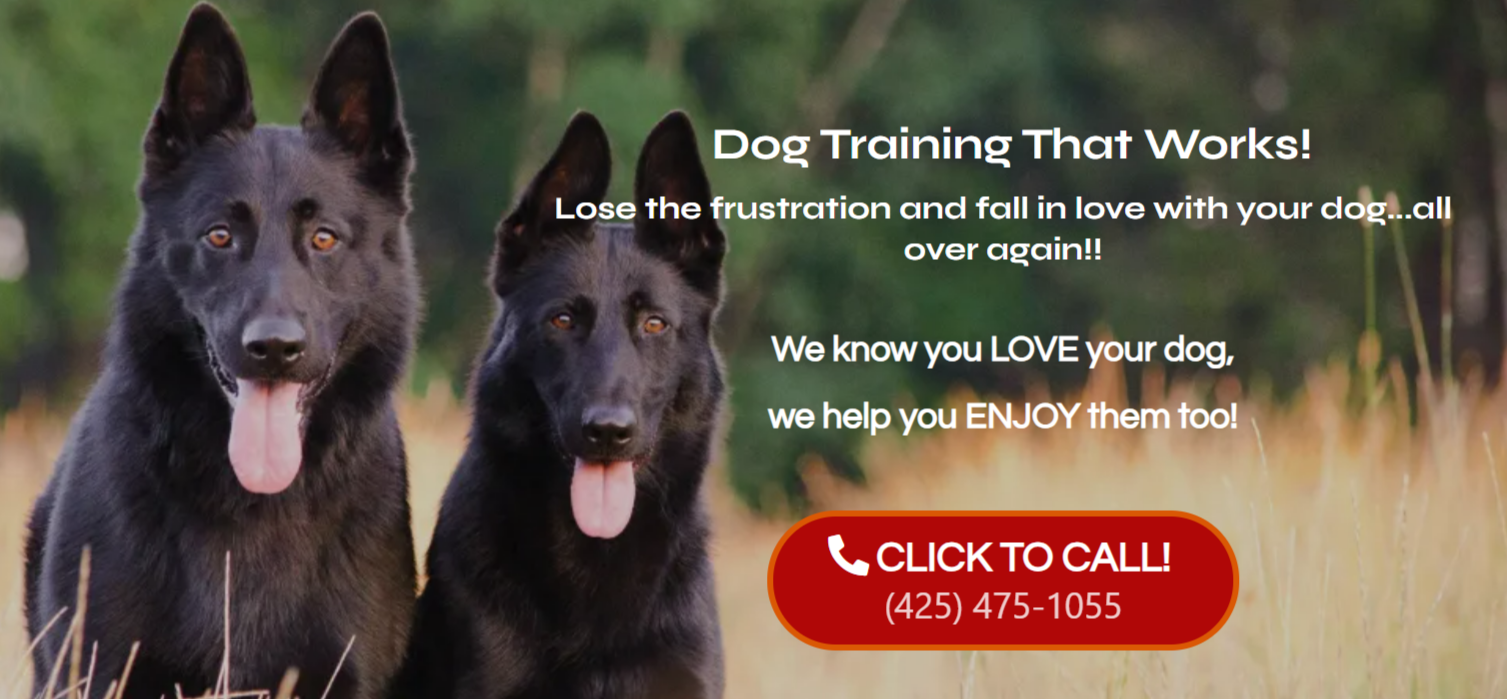 RockStar Dogs | Dog Training Bellevue, Seattle and Eastside