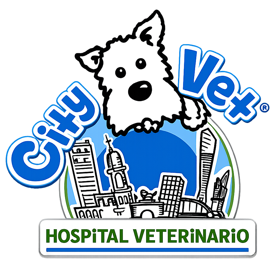 CityVet Hospital Veterinario