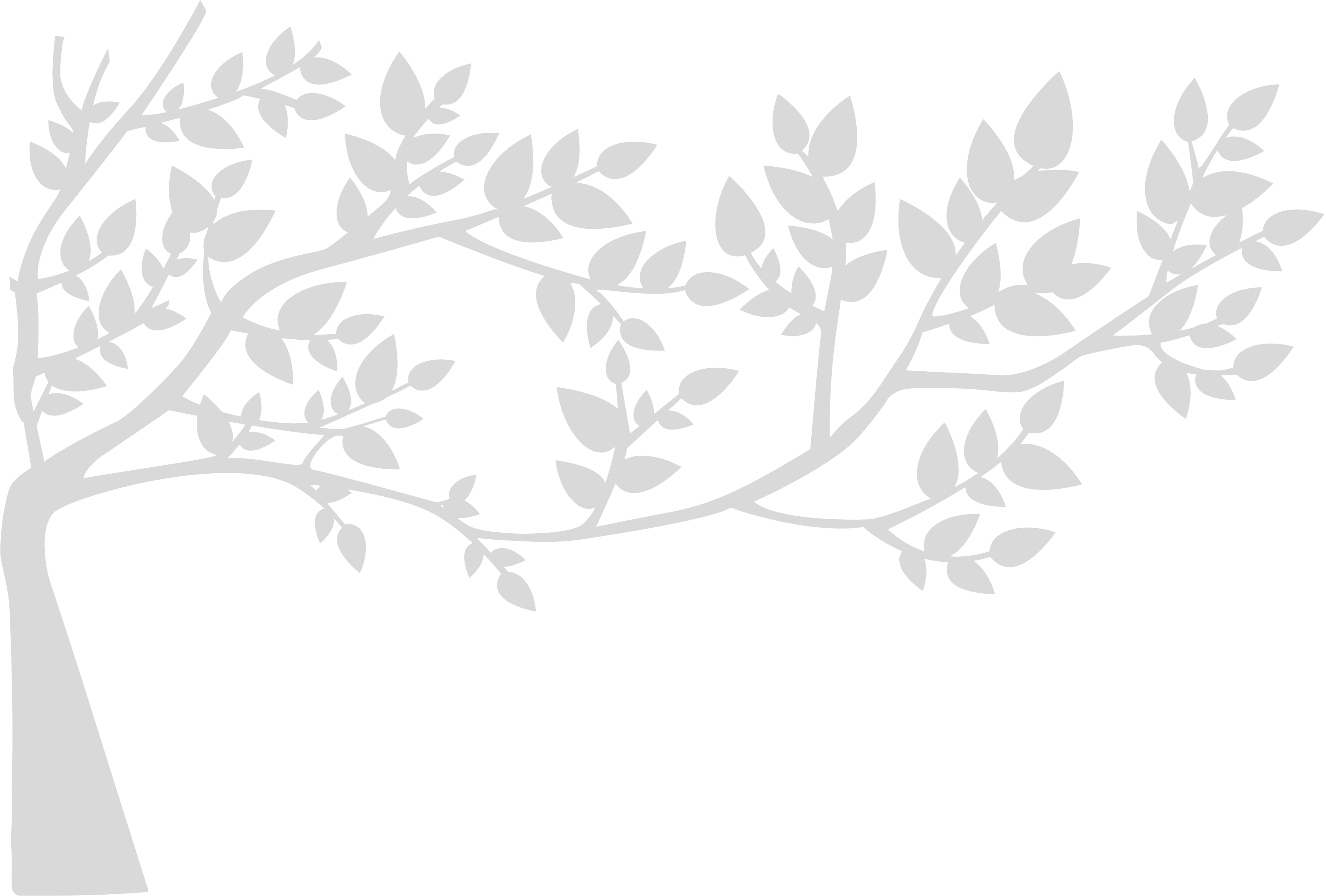 NatureCare Punta Gorda Tree Service Logo