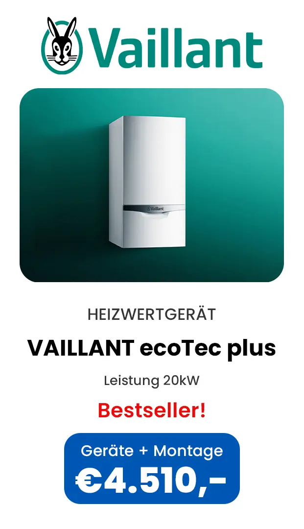 vaillant ectotec plus thermentausch