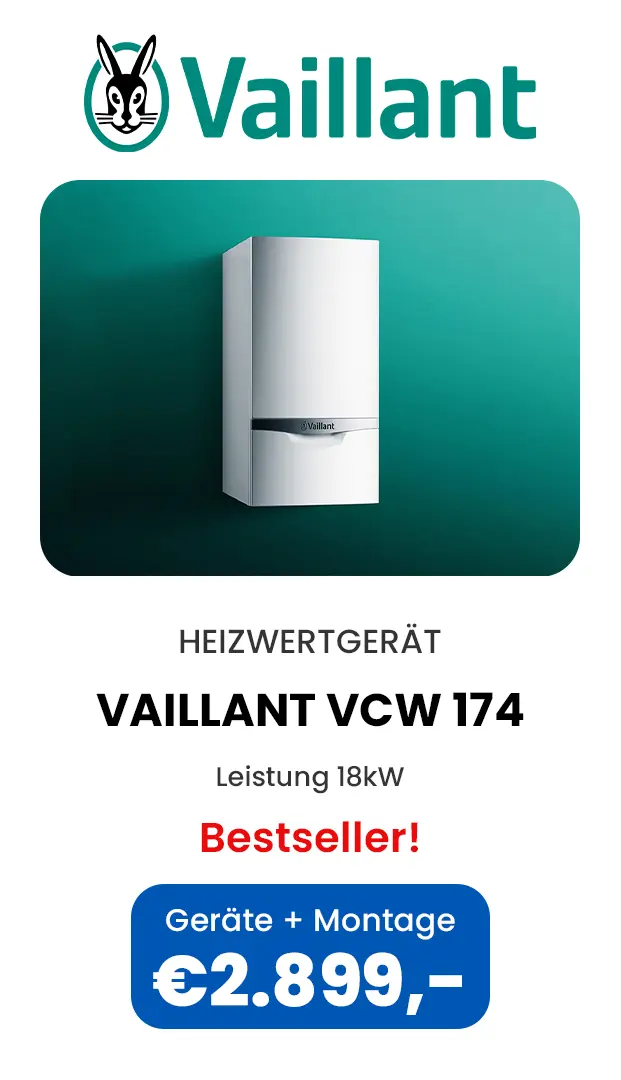 vaillant thermentausch