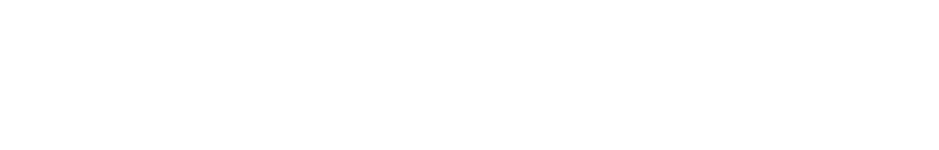 Alan Salomon Logo