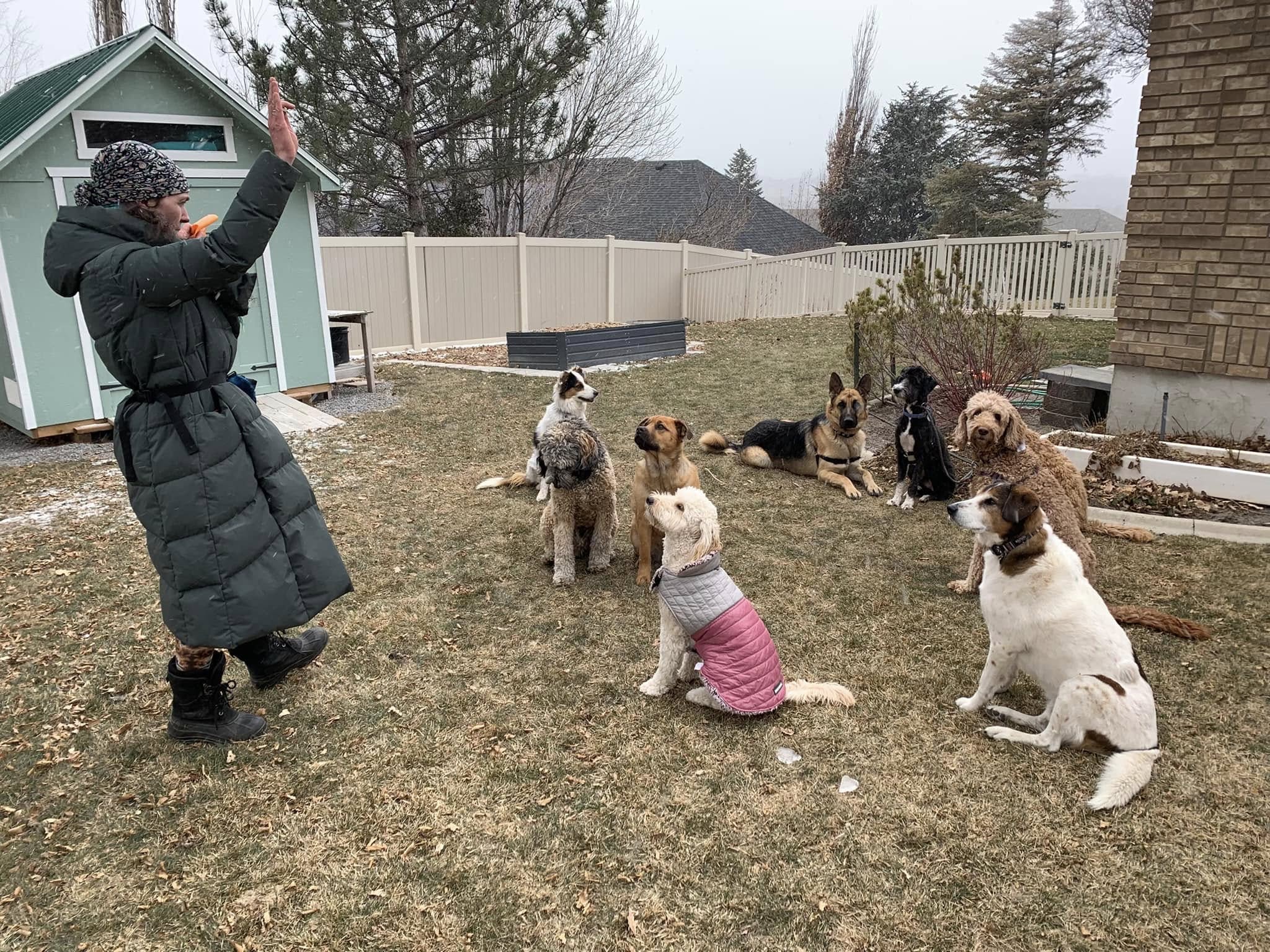 South Salt Lake Dog Hiking