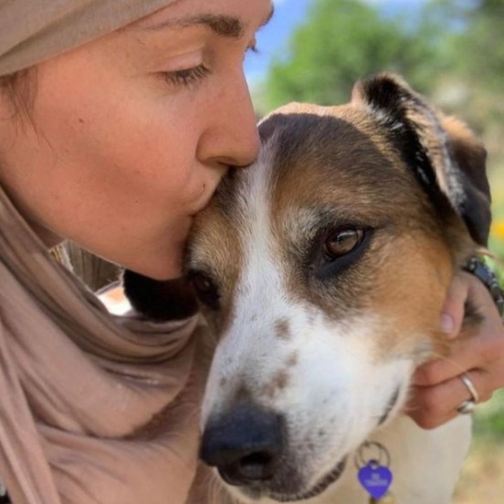 Obedience Training in South Jordan