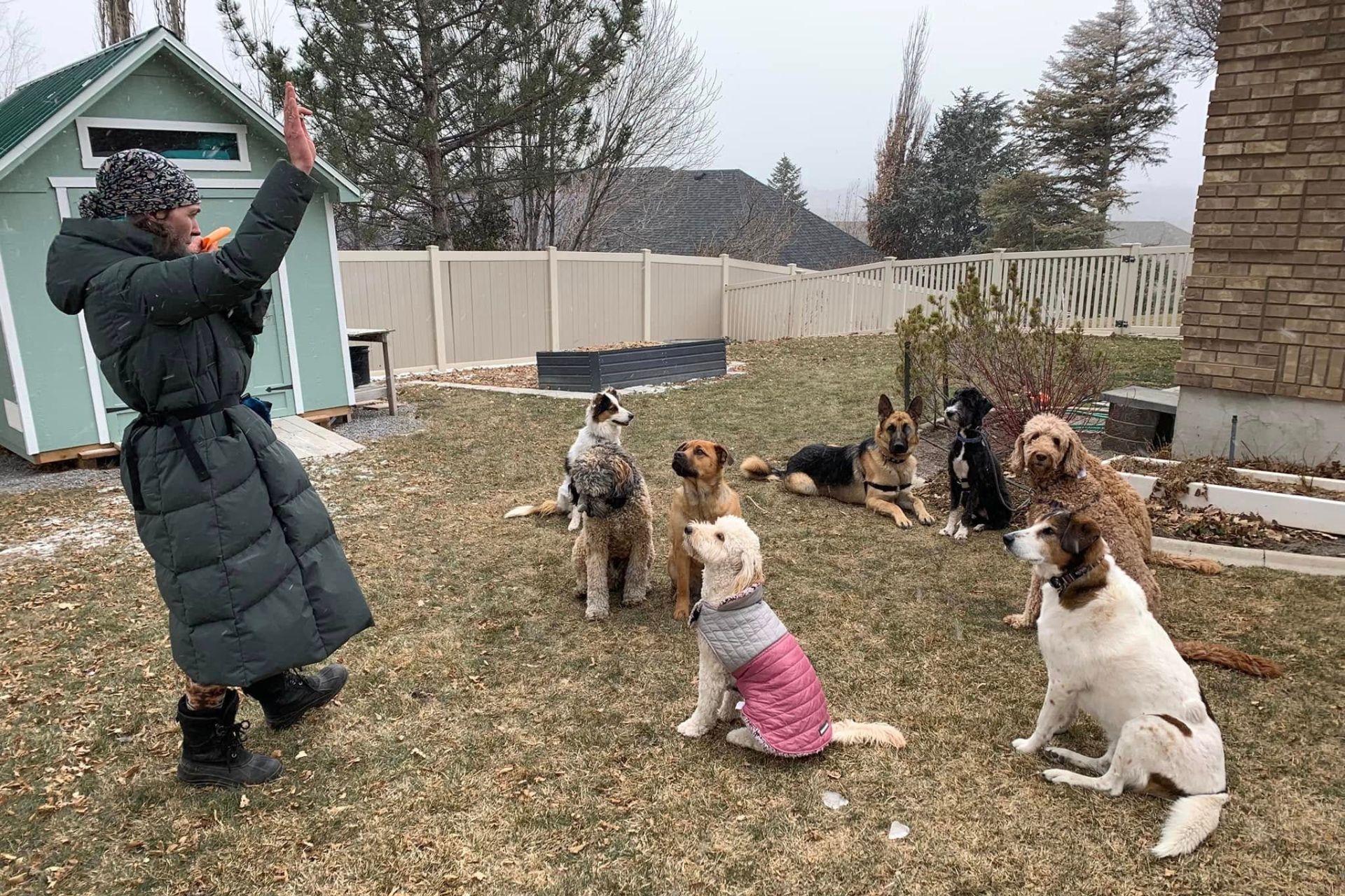 Dog Impulse Control in South Jordan