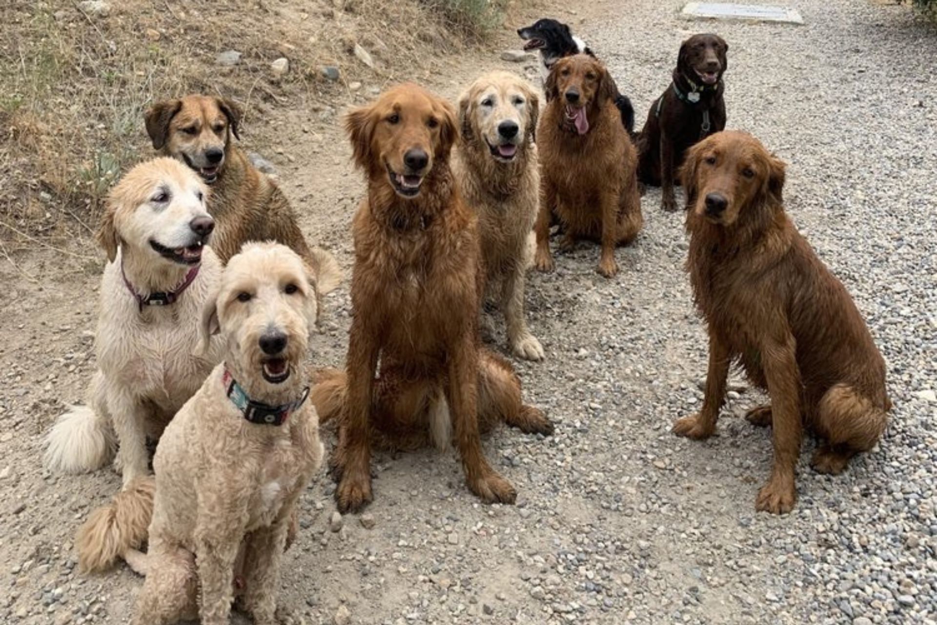 {{ custom_values.service_1 }} in {{custom_values.biz_area_1})