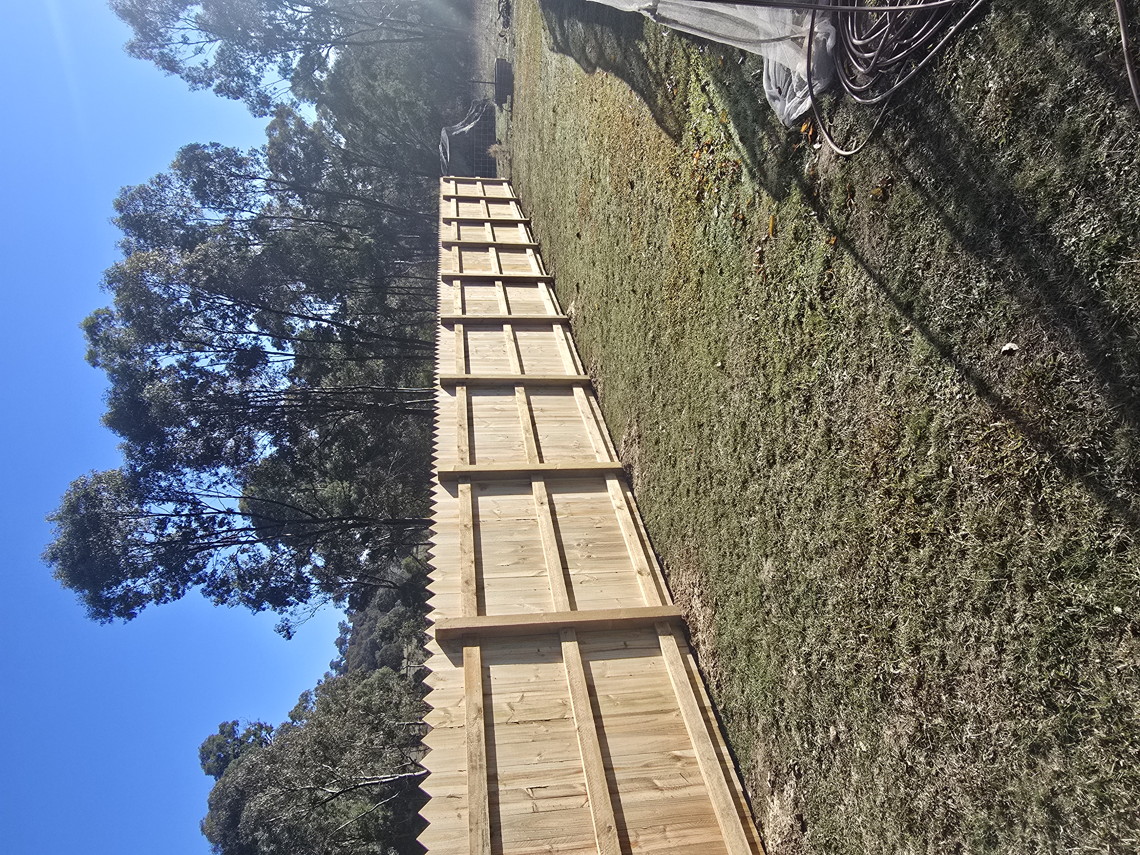 LW Builds project