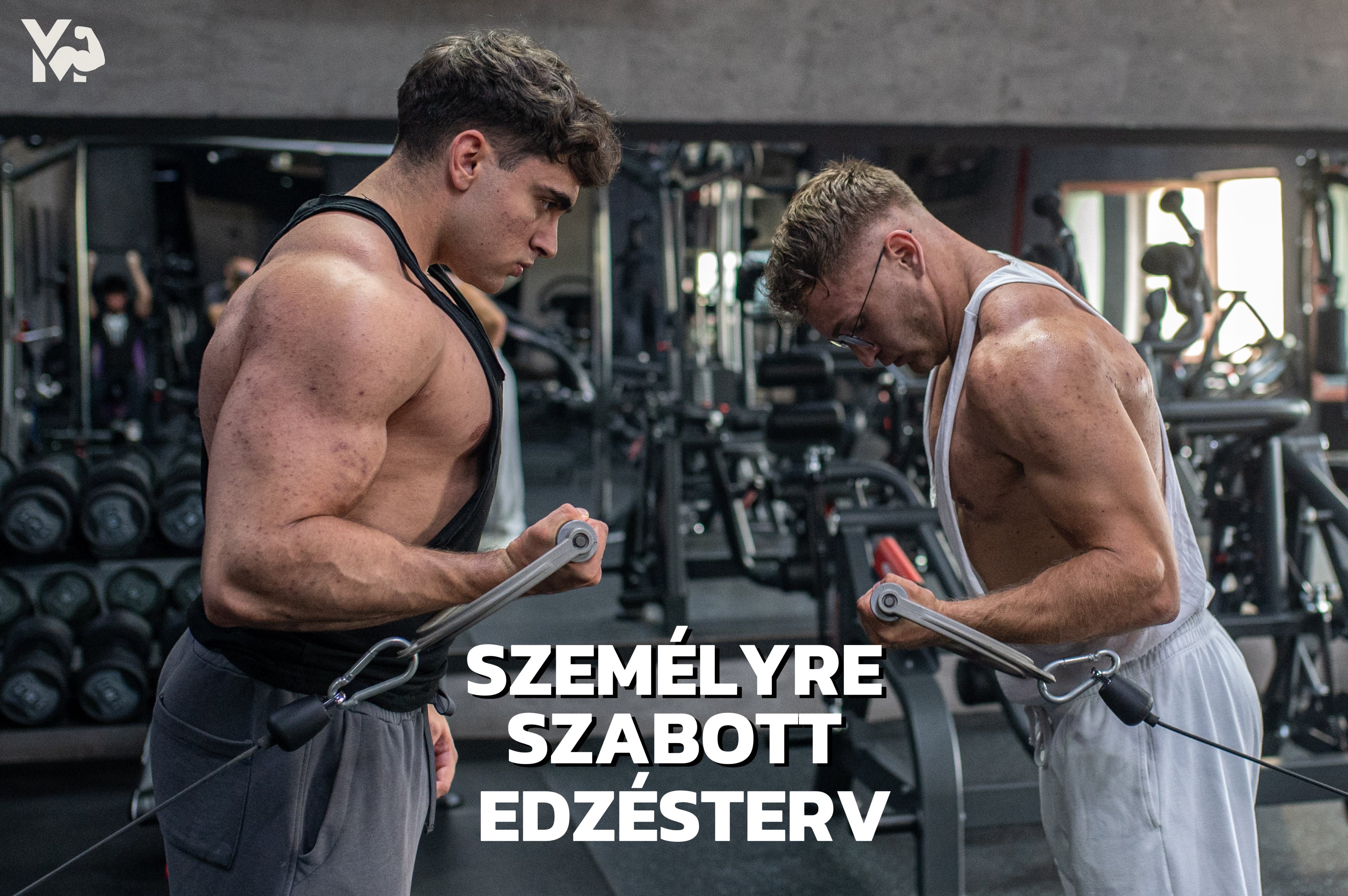 Személyre szabott EDZÉSTERV