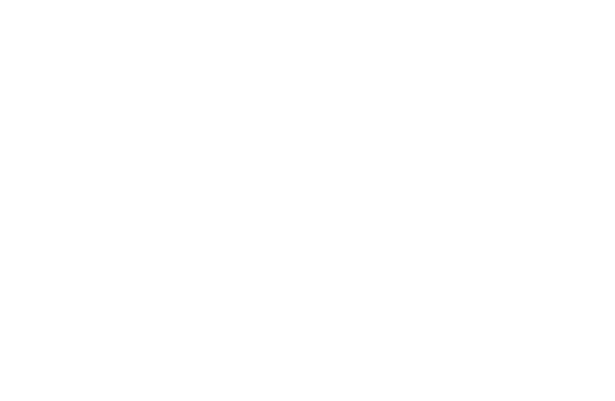 Dushin Plumbing, Heating & Cooling logo