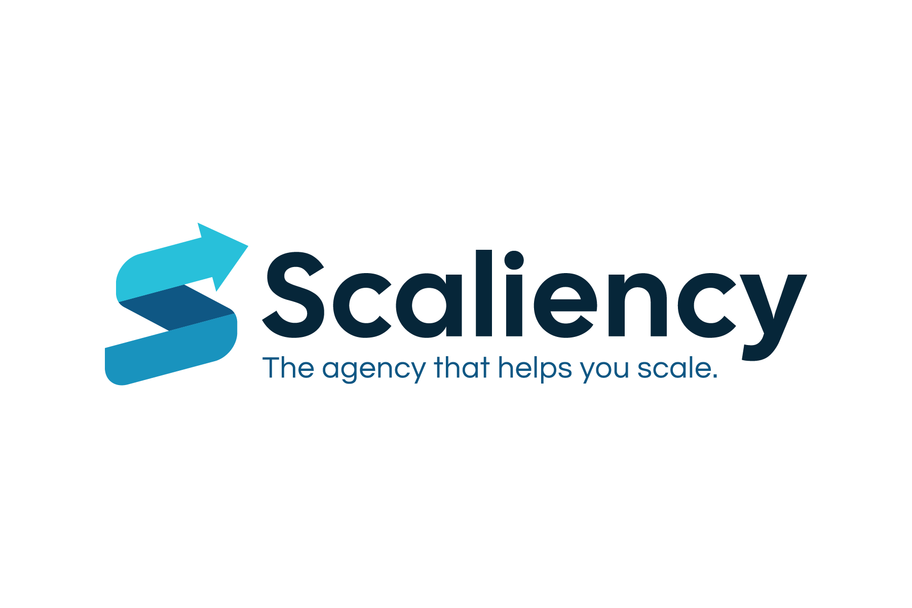 Scaliency