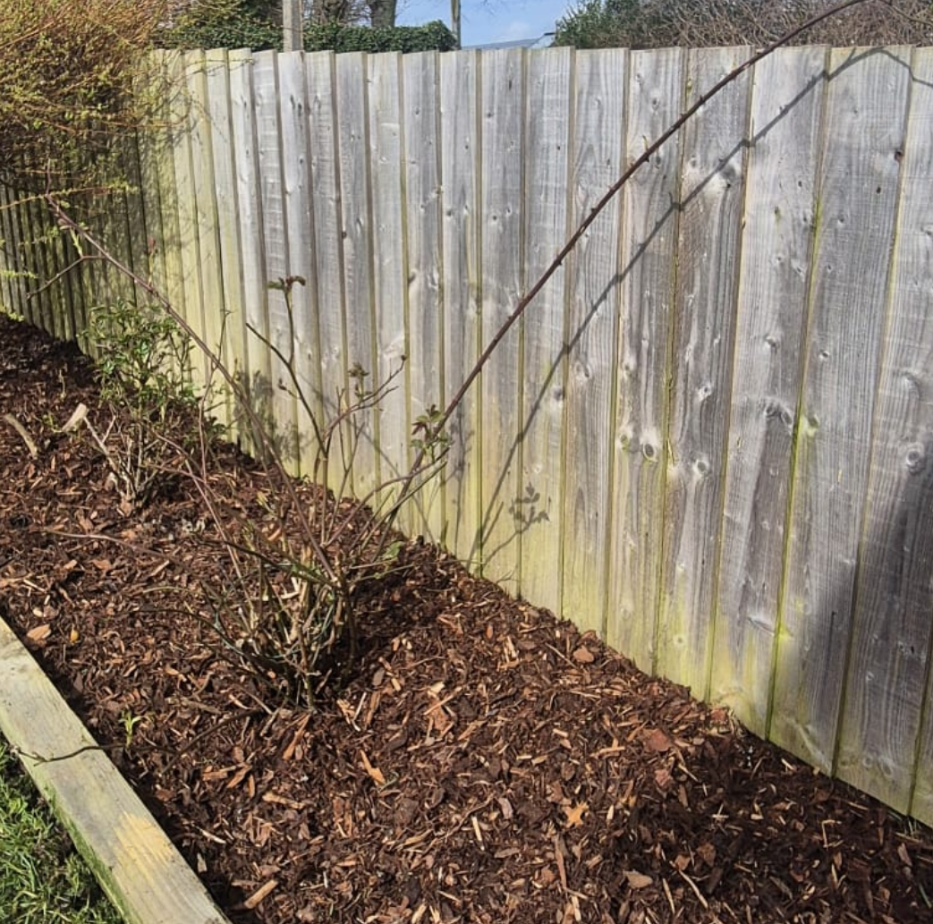 lawn mowing in saltash done by king wood projects