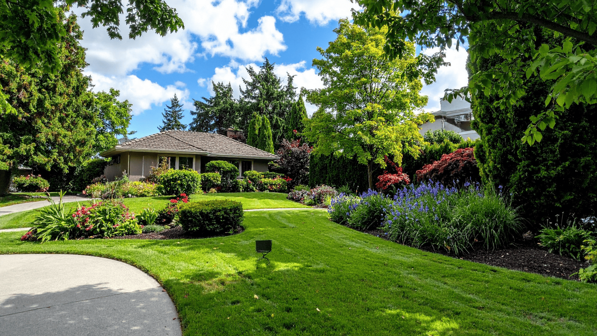 Landscape Redesign in Manchester