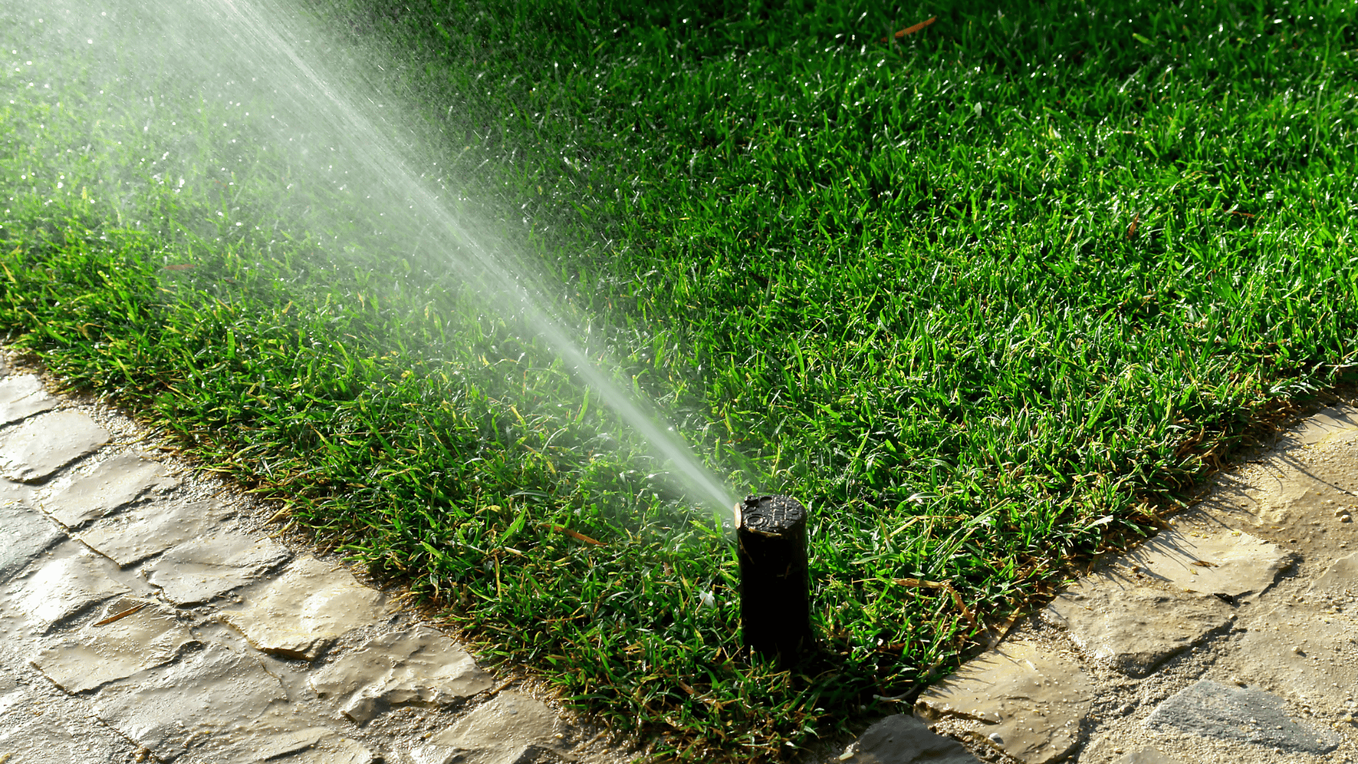 Irrigation in Manchester