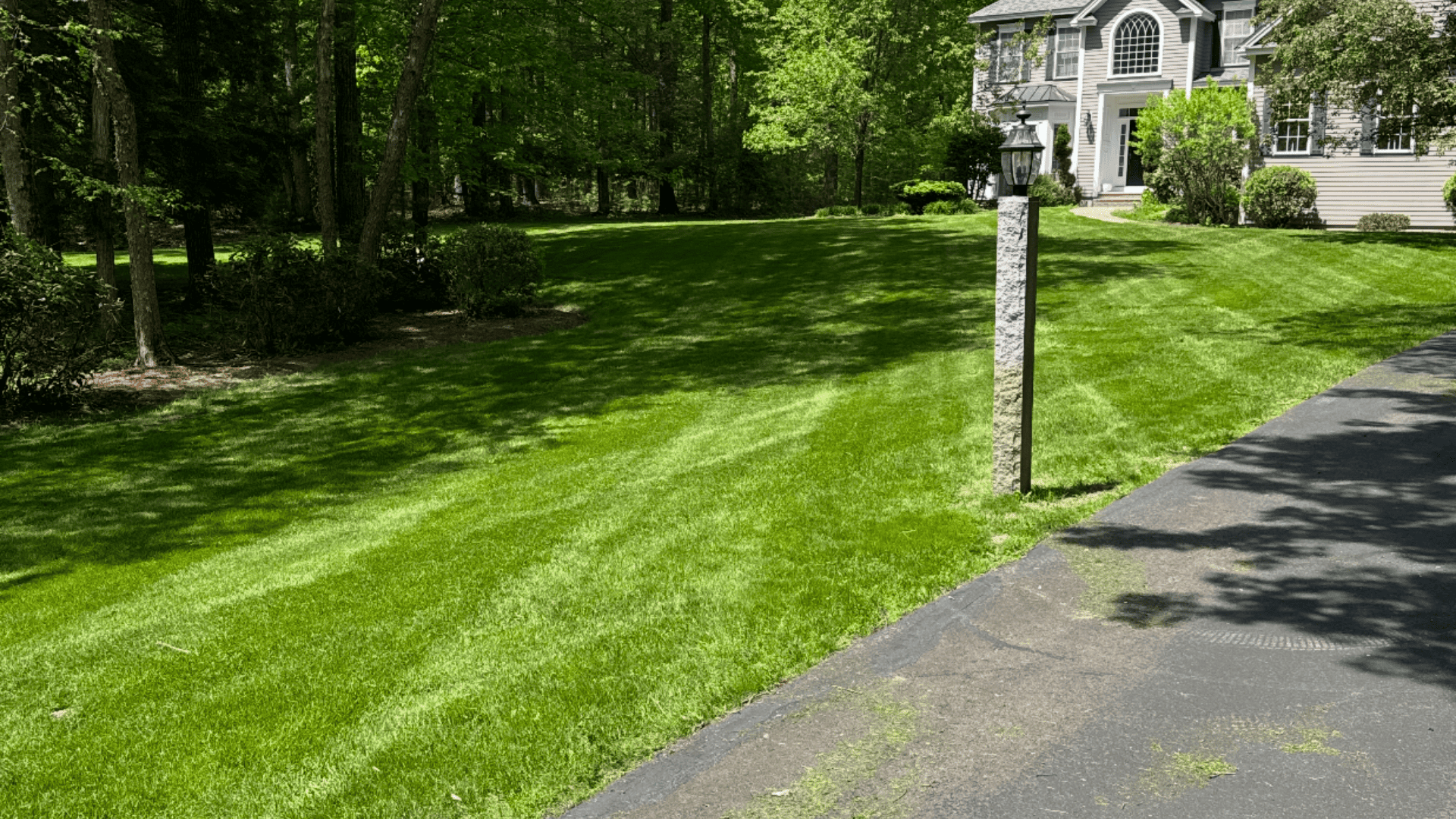 Lawn Mowing 