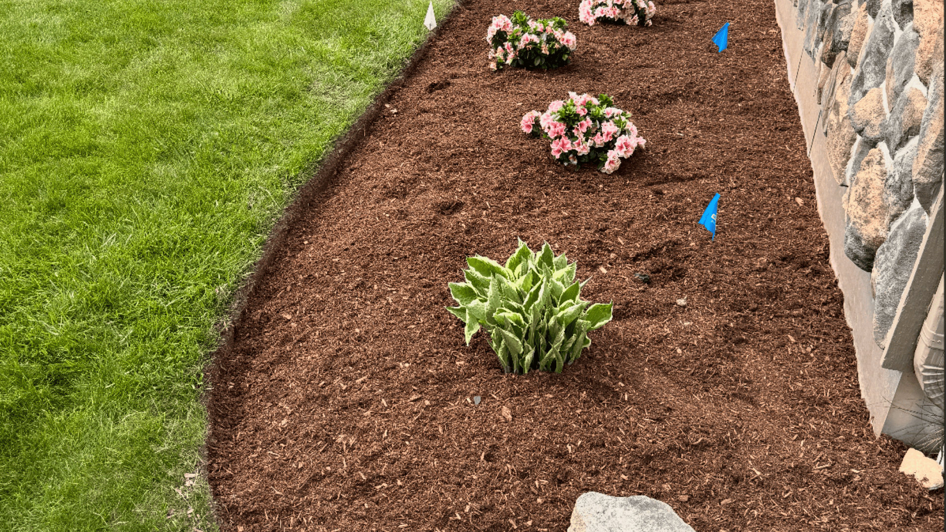 Landscape Redesign Manchester