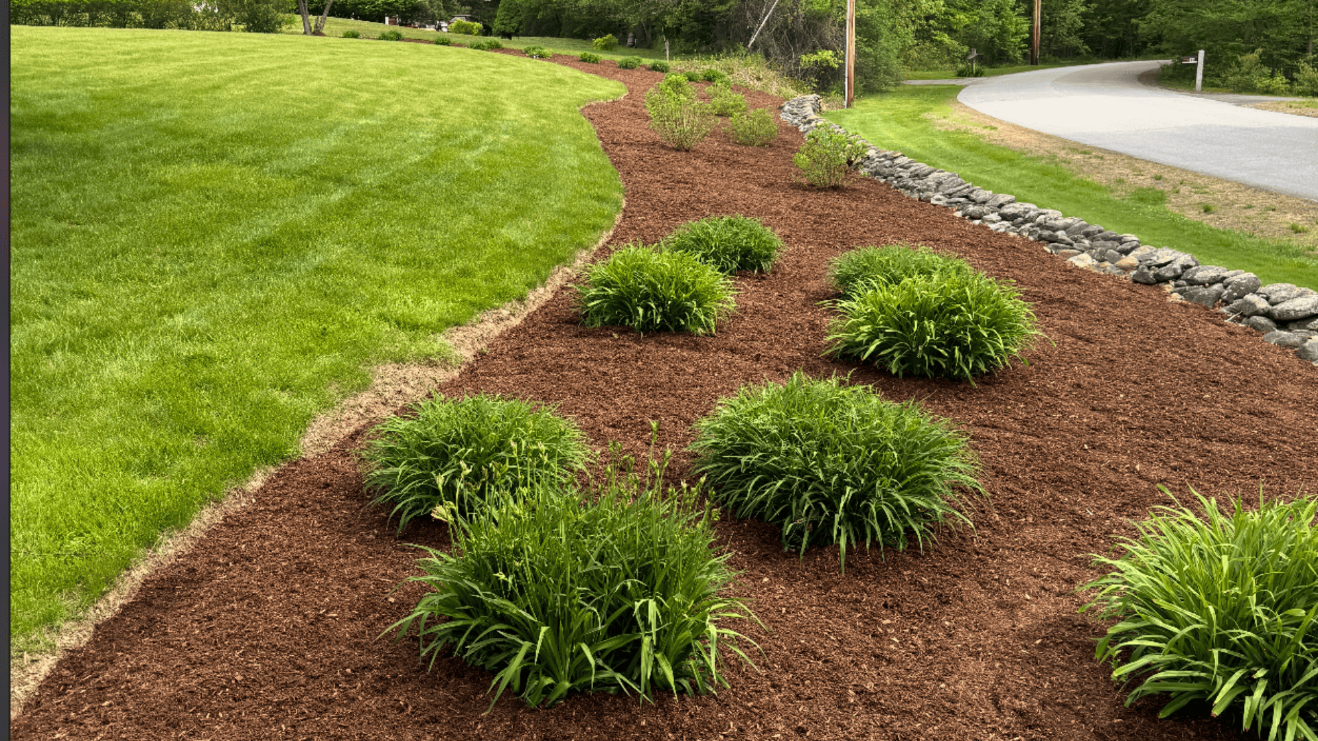 Loam & Top Dressing 
